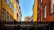 Load image into Gallery viewer, UK INTERNATIONAL TRÜNK MOVE - Trünk Moves