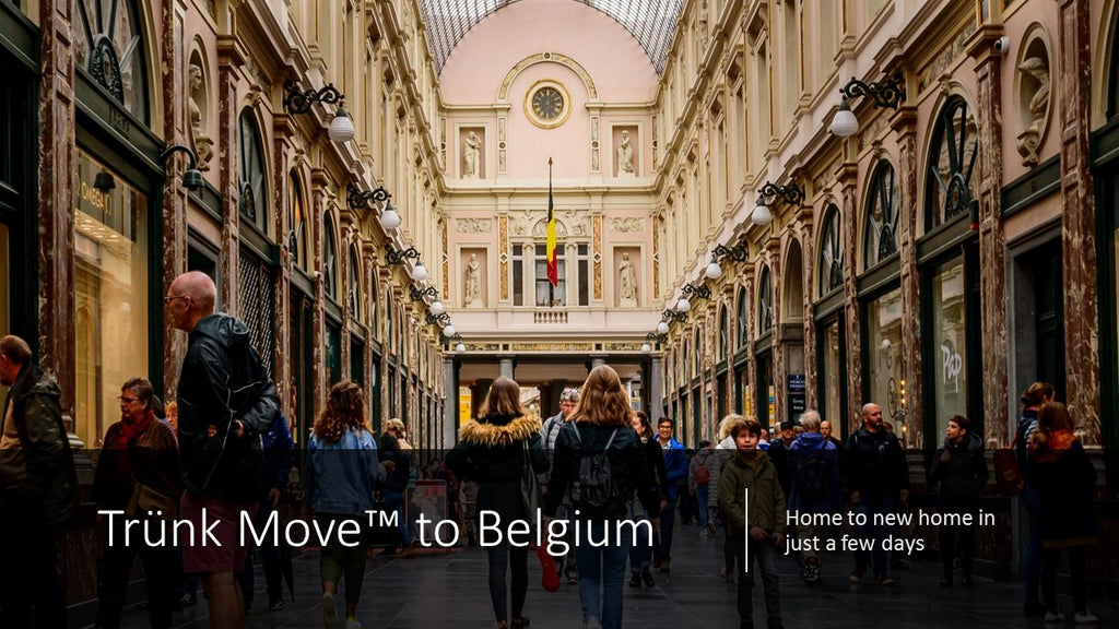 INTERNATIONAL TRÜNK MOVE - Moving to Belgium