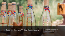 Load image into Gallery viewer, Déménagement international utilisant un conteneur Trünk France - Trünk Moves
