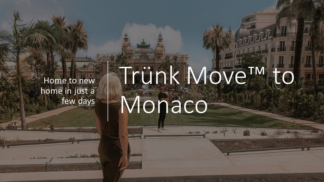 INTERNATIONAL TRÜNK MOVE - Trünk Moves