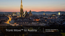 Load image into Gallery viewer, INTERNATIONAL TRÜNK MOVE - Trünk Moves
