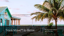 Load image into Gallery viewer, INTERNATIONAL TRÜNK MOVE - Trünk Moves
