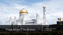 Load image into Gallery viewer, INTERNATIONAL TRÜNK MOVE - Trünk Moves
