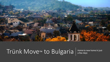 Load image into Gallery viewer, INTERNATIONAL TRÜNK MOVE - Trünk Moves

