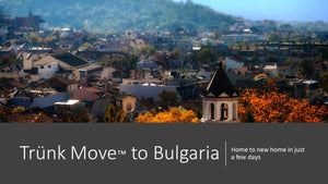 INTERNATIONAL TRÜNK MOVE - Trünk Moves