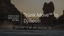 Load image into Gallery viewer, INTERNATIONAL TRÜNK MOVE - Trünk Moves
