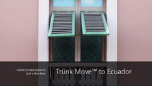 Load image into Gallery viewer, INTERNATIONAL TRÜNK MOVE - Trünk Moves
