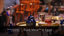 Load image into Gallery viewer, INTERNATIONAL TRÜNK MOVE - Trünk Moves
