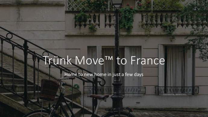 INTERNATIONAL TRÜNK MOVE - Trünk Moves