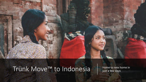 INTERNATIONAL TRÜNK MOVE - Trünk Moves