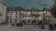 Load image into Gallery viewer, INTERNATIONAL TRÜNK MOVE - Trünk Moves
