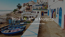 Load image into Gallery viewer, INTERNATIONAL TRÜNK MOVE - Trünk Moves

