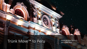 INTERNATIONAL TRÜNK MOVE - Trünk Moves