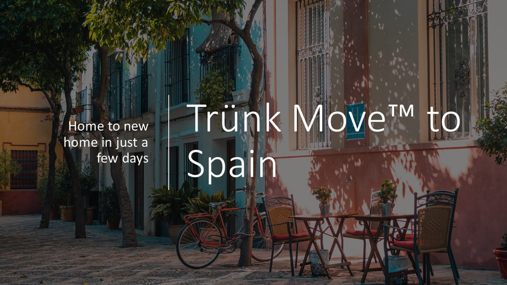 INTERNATIONAL TRÜNK MOVE - Trünk Moves