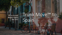 Load image into Gallery viewer, INTERNATIONAL TRÜNK MOVE - Trünk Moves
