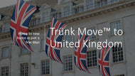 Von Deutschland aus international umziehen mit Trünk - Trünk Moves